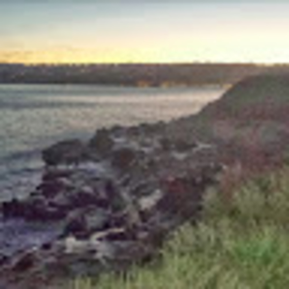 Meet your Posher, Rosemary